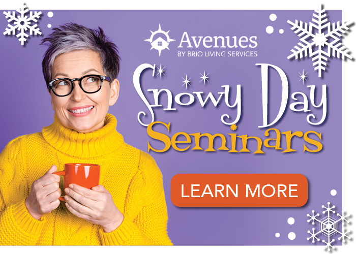 Snowy Day Seminars - Learn More